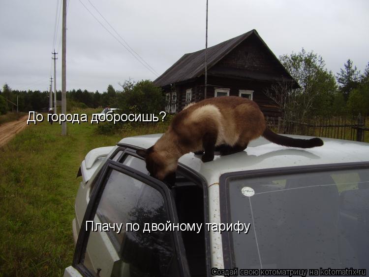 До города добросишь? Плачу по двойному тарифу... Котоматрица: До города добросишь? Плачу по двойному тарифу