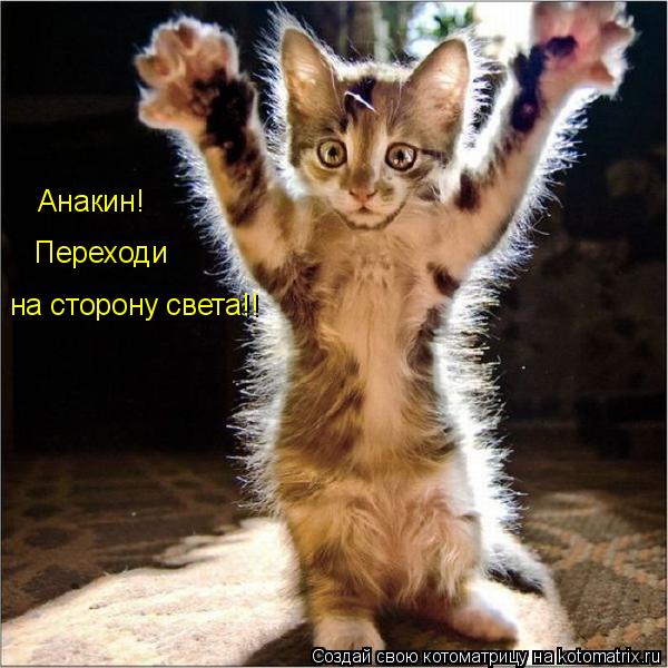 Анакин! Переходи на сторону света!!... Котоматрица: Анакин! Переходи на сторону света!!