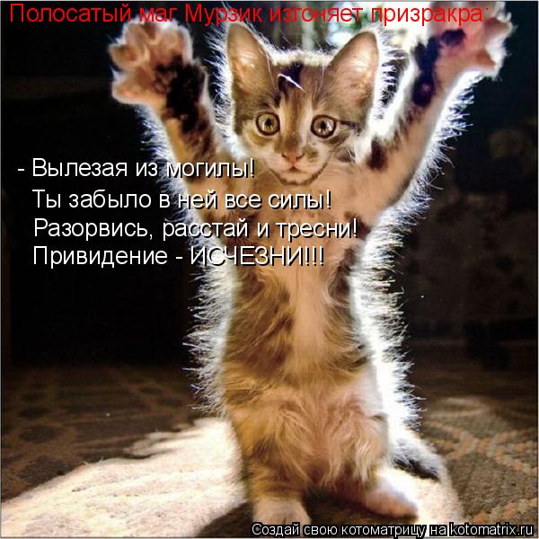 - Вылезая из могилы! Ты забыло в ней все силы! Разорвись, расстай и тресни! Привидение - ИСЧЕЗНИ!!! П... Котоматрица: - Вылезая из могилы! Ты забыло в ней все силы! Разорвись, расстай и тресни! Привидение - ИСЧЕЗНИ!!! Полосатый маг Мурзик изгоняет призракра: