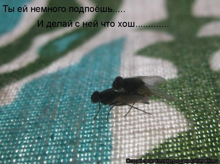 Ты ей немного подпоёшь..... И делай с ней что хош................ Котоматрица: Ты ей немного подпоёшь..... И делай с ней что хош.............