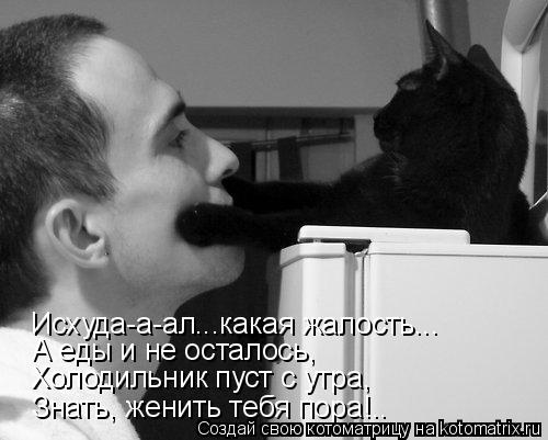Холодильник пуст с утра, Знать, женить тебя пора!.. А еды и не осталось, Исхуда-а-ал...какая жалость.... Котоматрица: Холодильник пуст с утра, Знать, женить тебя пора!.. А еды и не осталось, Исхуда-а-ал...какая жалость...