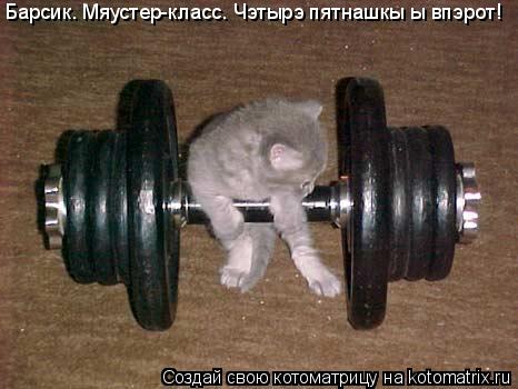 Барсик. Мяустер-класс. Чэтырэ пятнашкы ы впэрот!... Котоматрица: Барсик. Мяустер-класс. Чэтырэ пятнашкы ы впэрот!