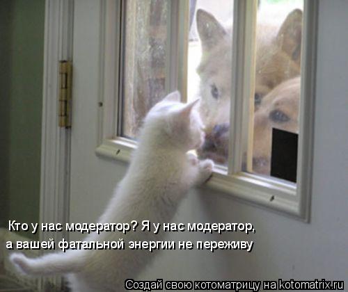 Кто у нас модератор? Я у нас модератор, а вашей фатальной энергии не переживу... Котоматрица: Кто у нас модератор? Я у нас модератор, а вашей фатальной энергии не переживу