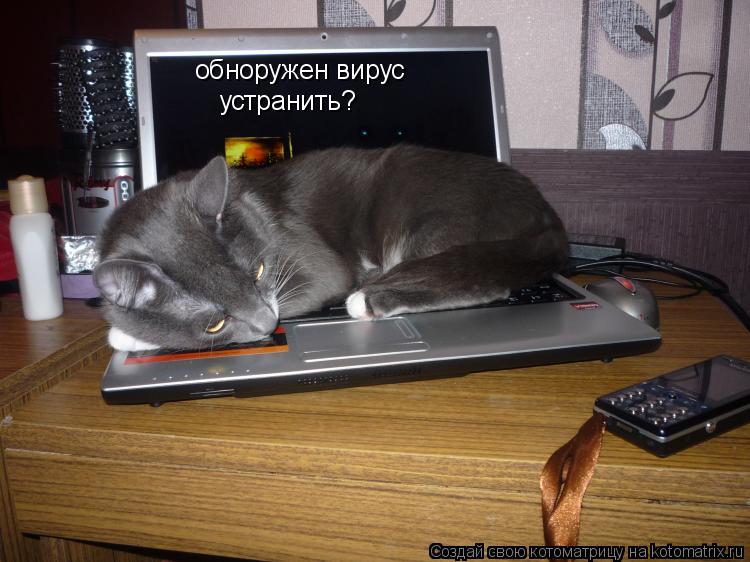 обноружен вирус устранить?... Котоматрица: обноружен вирус устранить?