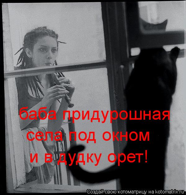 баба придурошная села под окном и в дудку орет!... Котоматрица: баба придурошная села под окном и в дудку орет!