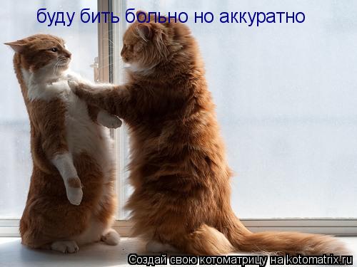 буду бить больно но аккуратно... Котоматрица: буду бить больно но аккуратно