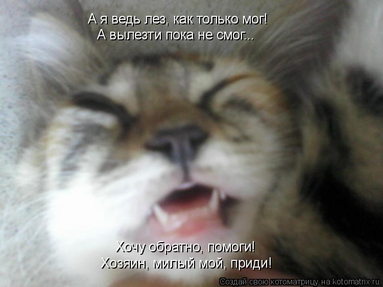 А я ведь лез, как только мог! А вылезти пока не смог... Хочу обратно, помоги! Хозяин, милый мой, прид... Котоматрица: А я ведь лез, как только мог! А вылезти пока не смог... Хочу обратно, помоги! Хозяин, милый мой, приди!