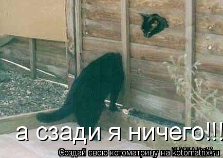 а сзади я ничего!!!... Котоматрица: а сзади я ничего!!!