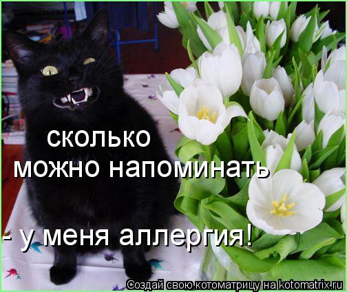 сколько можно напоминать - у меня аллергия!... Котоматрица: сколько можно напоминать - у меня аллергия!