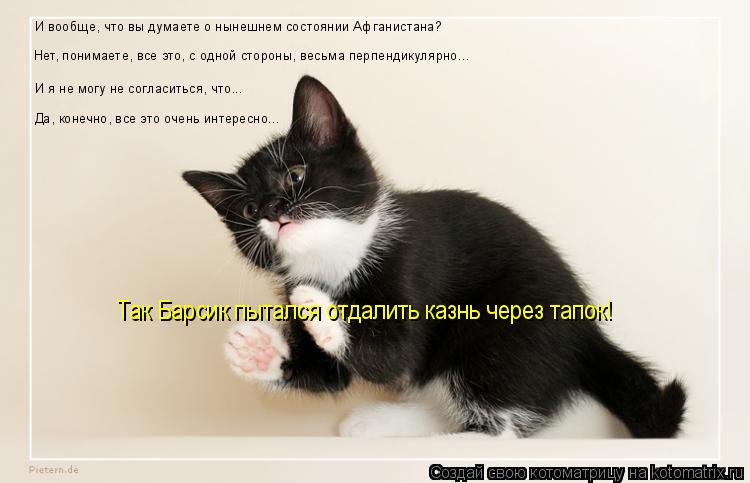 Котоматрица: Нет, понимаете, все это, с одной стороны, весьма перпендикулярно... И я не могу не согласиться, что... И вообще, что вы думаете о нынешнем состоя