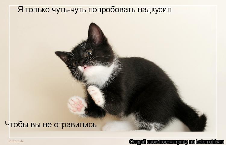 Я только чуть-чуть попробовать надкусил Чтобы вы не отравились... Котоматрица: Я только чуть-чуть попробовать надкусил Чтобы вы не отравились