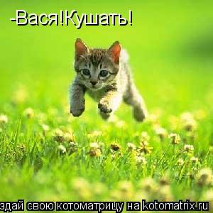 -Вася!Кушать!... Котоматрица: -Вася!Кушать!