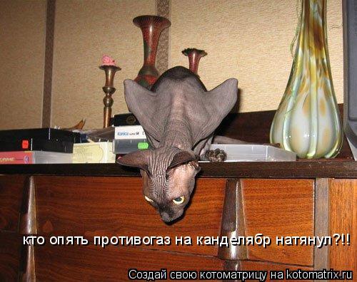 кто опять противогаз на канделябр натянул?!!... Котоматрица: кто опять противогаз на канделябр натянул?!!