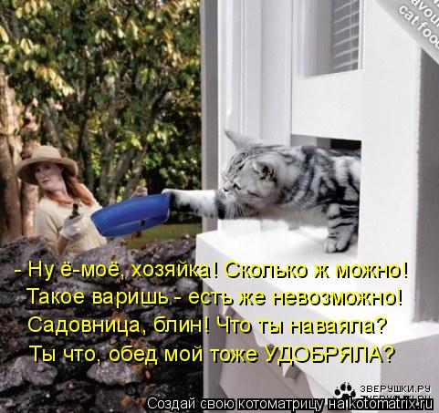 - Ну ё-моё, хозяйка! Сколько ж можно! Такое варишь - есть же невозможно! Садовница, блин! Что ты нав... Котоматрица: - Ну ё-моё, хозяйка! Сколько ж можно! Такое варишь - есть же невозможно! Садовница, блин! Что ты наваяла? Ты что, обед мой тоже УДОБРЯЛА?