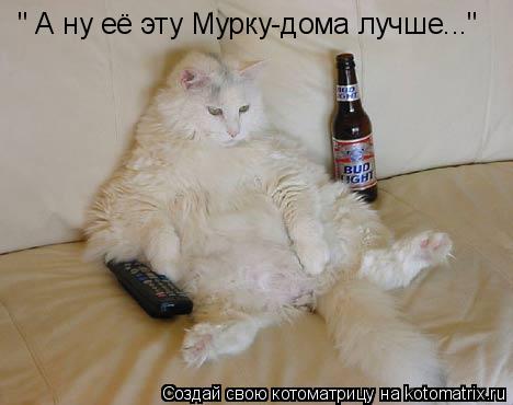 Котоматрица: " А ну её эту Мурку-дома лучше..."