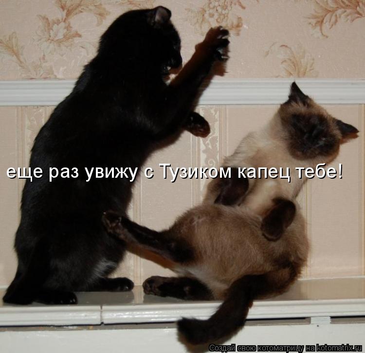 Котоматрица: еще раз увижу с Тузиком капец тебе!