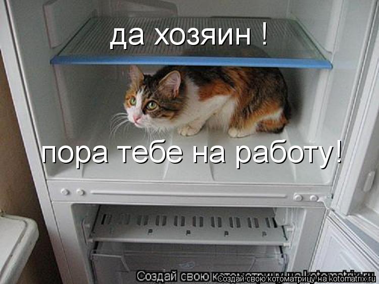 Котоматрица: да хозяин ! пора тебе на работу!