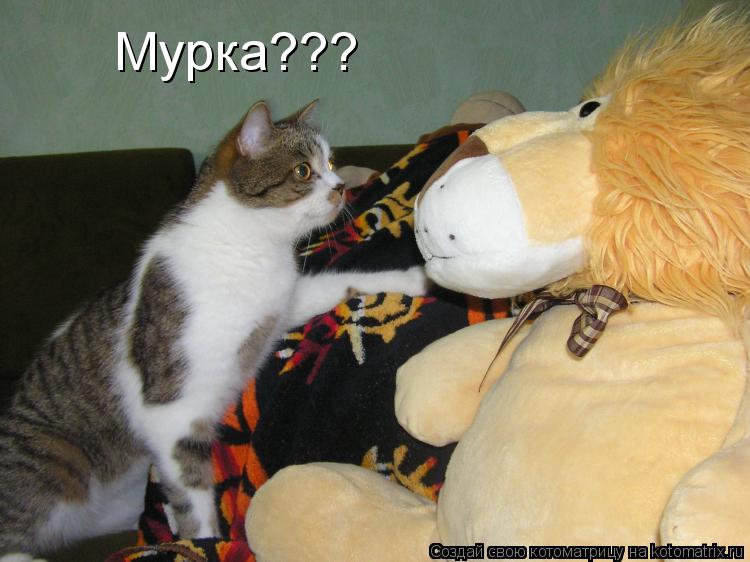 Мурка???... Котоматрица: Мурка???