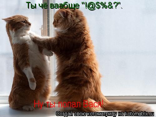 Котоматрица: Ты чё ваабще "!@$%&?". Ну ты попал Вася!