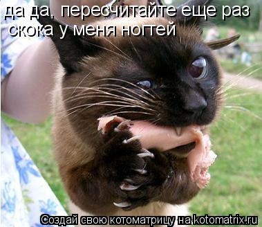 Котоматрица: да да, пересчитайте еще раз  скока у меня ногтей