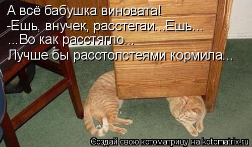 А всё бабушка виновата! -Ешь, внучек, расстегаи...Ешь... ...Во как расстягло... Лучше бы расстолстеям... Котоматрица: А всё бабушка виновата! -Ешь, внучек, расстегаи...Ешь... ...Во как расстягло... Лучше бы расстолстеями кормила...