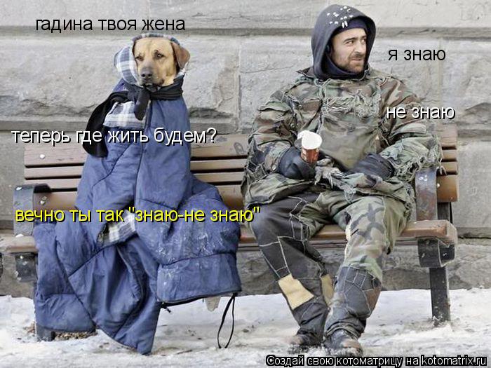 Котоматрица: гадина твоя жена  я знаю  теперь где жить будем? не знаю вечно ты так "знаю-не знаю"
