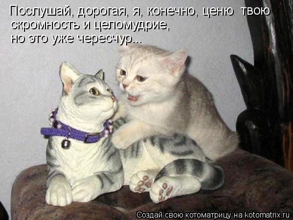Послушай, дорогая, я, конечно, ценю твою скромность и целомудрие, но это уже чересчур...... Котоматрица: Послушай, дорогая, я, конечно, ценю твою скромность и целомудрие, но это уже чересчур...