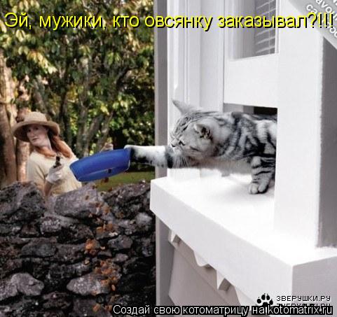 Эй, мужики, кто овсянку заказывал?!!!... Котоматрица: Эй, мужики, кто овсянку заказывал?!!!