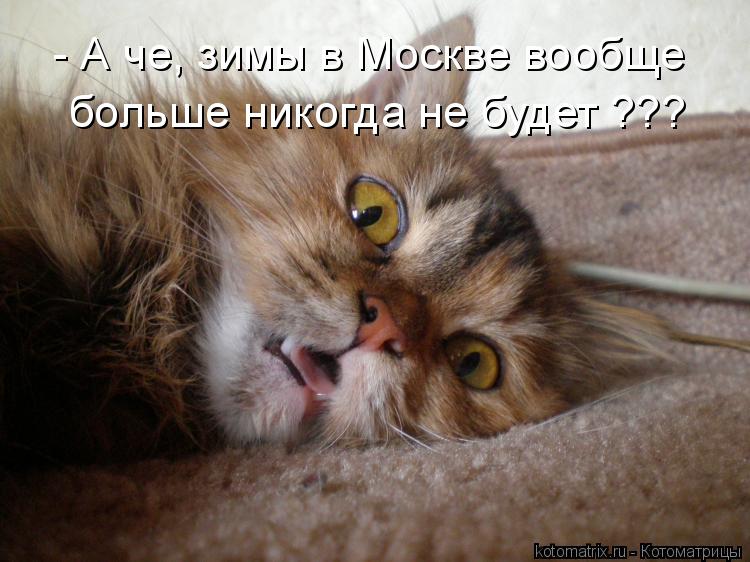 - А че, зимы в Москве вообще больше никогда не будет ???... Котоматрица: - А че, зимы в Москве вообще больше никогда не будет ???