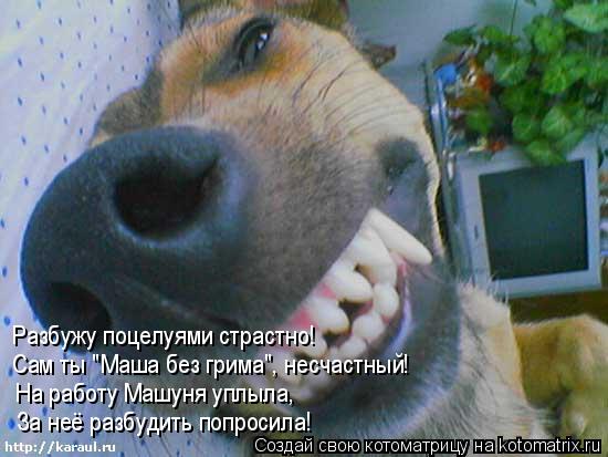 Котоматрица: Разбужу поцелуями страстно! Сам ты "Маша без грима", несчастный! На работу Машуня уплыла, За неё разбудить попросила!