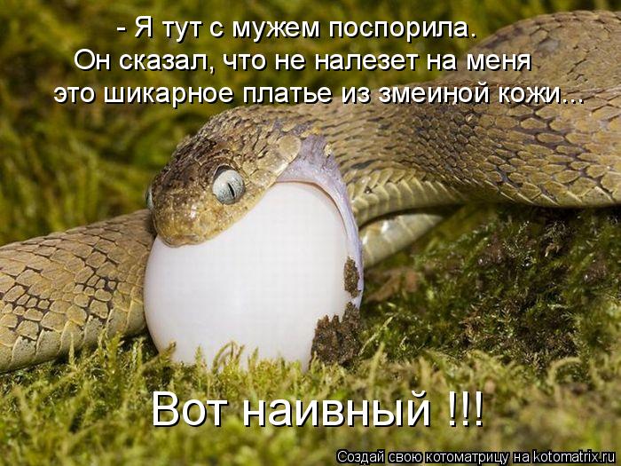 - Я тут с мужем поспорила. Он сказал, что не налезет на меня это шикарное платье из змеиной кожи... ... Котоматрица: - Я тут с мужем поспорила. Он сказал, что не налезет на меня это шикарное платье из змеиной кожи... Вот наивный !!!