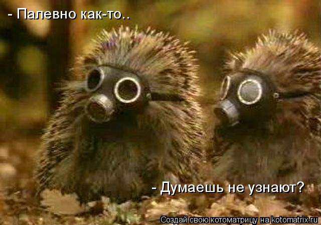 - Палевно как-то.. - Думаешь не узнают?... Котоматрица: - Палевно как-то.. - Думаешь не узнают?