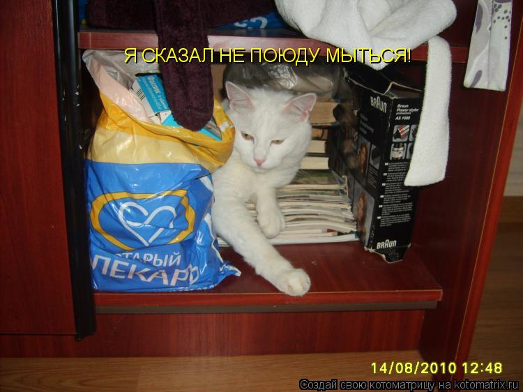 Я СКАЗАЛ НЕ ПОЮДУ МЫТЬСЯ!... Котоматрица: Я СКАЗАЛ НЕ ПОЮДУ МЫТЬСЯ!