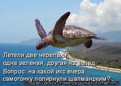Летели две черепахи, одна зеленая, другая на запад. Вопрос: на какой икс вчера самогонку полирнули ша... Котоматрица: Летели две черепахи, одна зеленая, другая на запад. Вопрос: на какой икс вчера самогонку полирнули шапманским?
