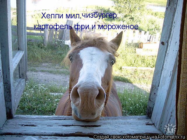 Хеппи мил ,чизбургер, картофель фри и мороженое... Котоматрица: Хеппи мил ,чизбургер, картофель фри и мороженое
