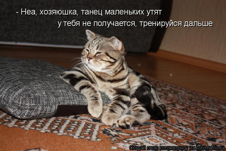 - Неа, хозяюшка, танец маленьких утят у тебя не получается, тренируйся дальше... Котоматрица: - Неа, хозяюшка, танец маленьких утят у тебя не получается, тренируйся дальше