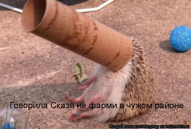 Говорила Сказя не фарми в чужом районе... Котоматрица: Говорила Сказя не фарми в чужом районе