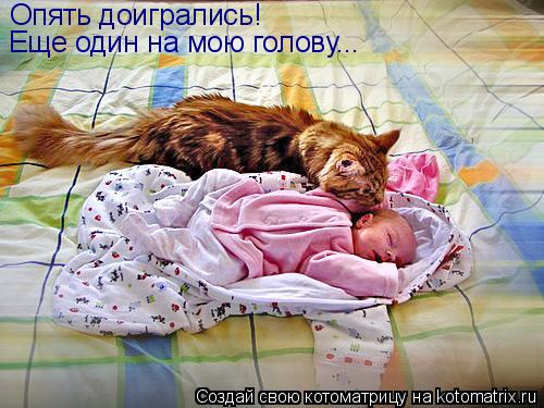Котоматрица: Опять доигрались!  Еще один на мою голову...