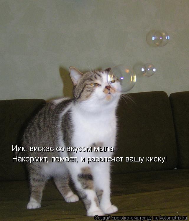 Иик: вискас со вкусом мыла - Накормит, помоет, и развлечет вашу киску!... Котоматрица: Иик: вискас со вкусом мыла - Накормит, помоет, и развлечет вашу киску!