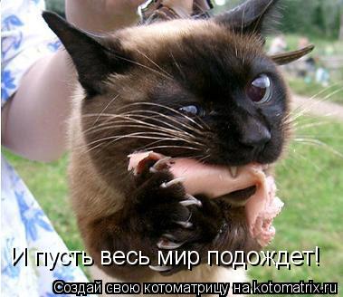И пусть весь мир подождет!... Котоматрица: И пусть весь мир подождет!