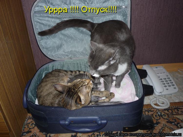 Уррра !!!! Отпуск!!!!... Котоматрица: Уррра !!!! Отпуск!!!!