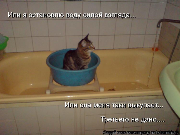 Или я остановлю воду силой взгляда... Или она меня таки выкупает... Третьего не дано....... Котоматрица: Или я остановлю воду силой взгляда... Или она меня таки выкупает... Третьего не дано....