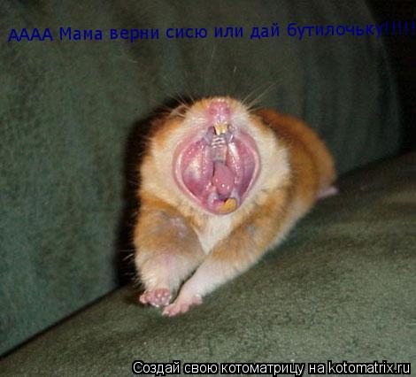 АААА Мама верни сисю или дай бутилочьку!!!!!!!!... Котоматрица: АААА Мама верни сисю или дай бутилочьку!!!!!!!!