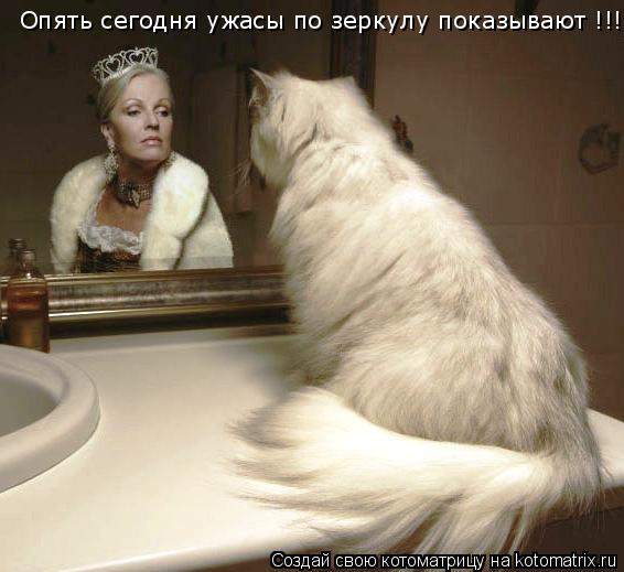 Опять сегодня ужасы по зеркулу показывают !!!... Котоматрица: Опять сегодня ужасы по зеркулу показывают !!!