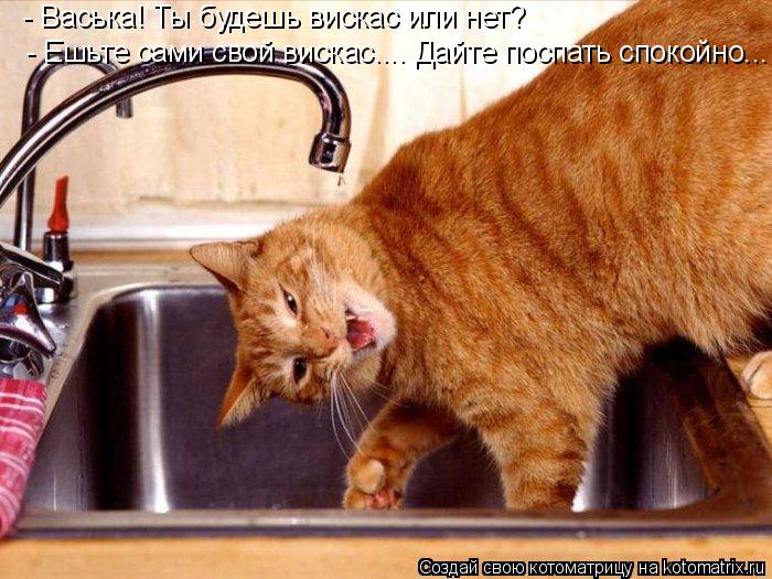 - Васька! Ты будешь вискас или нет? - Ешьте сами свой вискас.... Дайте поспать спокойно...... Котоматрица: - Васька! Ты будешь вискас или нет? - Ешьте сами свой вискас.... Дайте поспать спокойно...