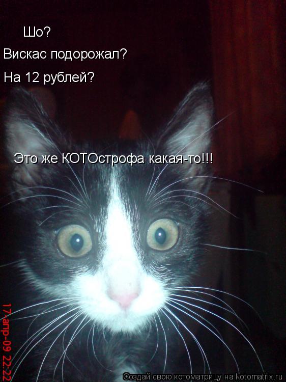 Шо? Вискас подорожал? На 12 рублей? Это же КОТОстрофа какая-то!!!... Котоматрица: Шо? Вискас подорожал? На 12 рублей? Это же КОТОстрофа какая-то!!!