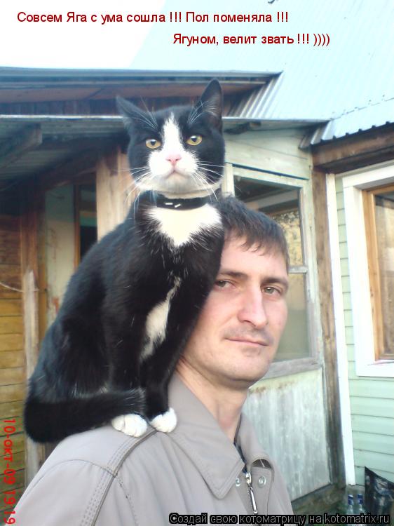 Совсем Яга с ума сошла !!! Пол поменяла !!! Ягуном , велит звать !!! ) Совсем Яга с ума сошла !!! Пол... Котоматрица: Совсем Яга с ума сошла !!! Пол поменяла !!! Ягуном , велит звать !!! ) Совсем Яга с ума сошла !!! Пол поменяла !!! Ягуном, велит звать !!! ))))