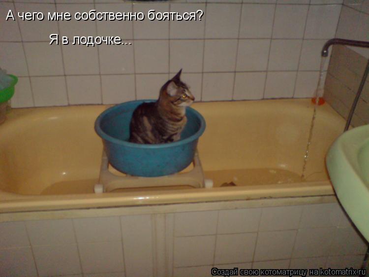 А чего мне собственно бояться? Я в лодочке...... Котоматрица: А чего мне собственно бояться? Я в лодочке...
