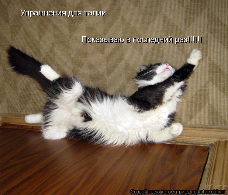 Упражнения для талии Показываю в последний раз!!!!!!... Котоматрица: Упражнения для талии Показываю в последний раз!!!!!!
