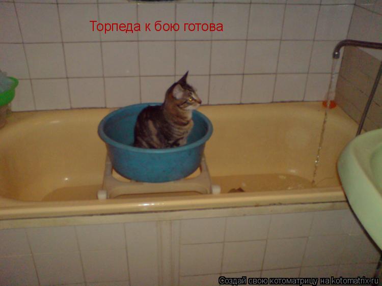 Торпеда к бою готова... Котоматрица: Торпеда к бою готова